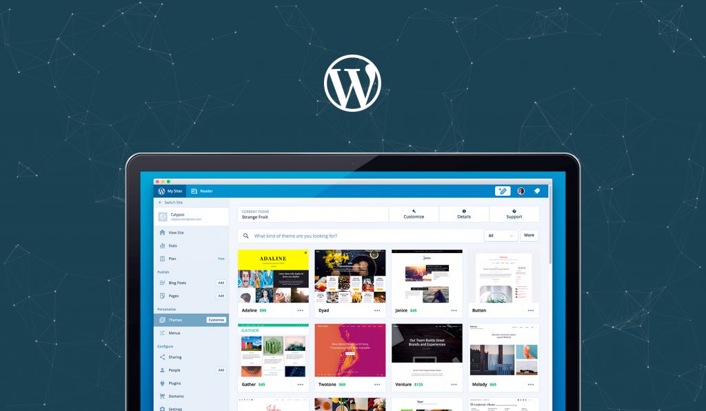 Устанавливаем тему на WordPress